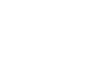 ref-zulays